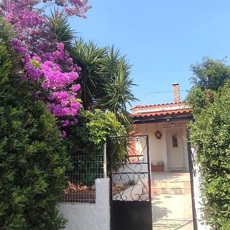 Knossós Olive Grove Cottage Skalani מראה חיצוני תמונה