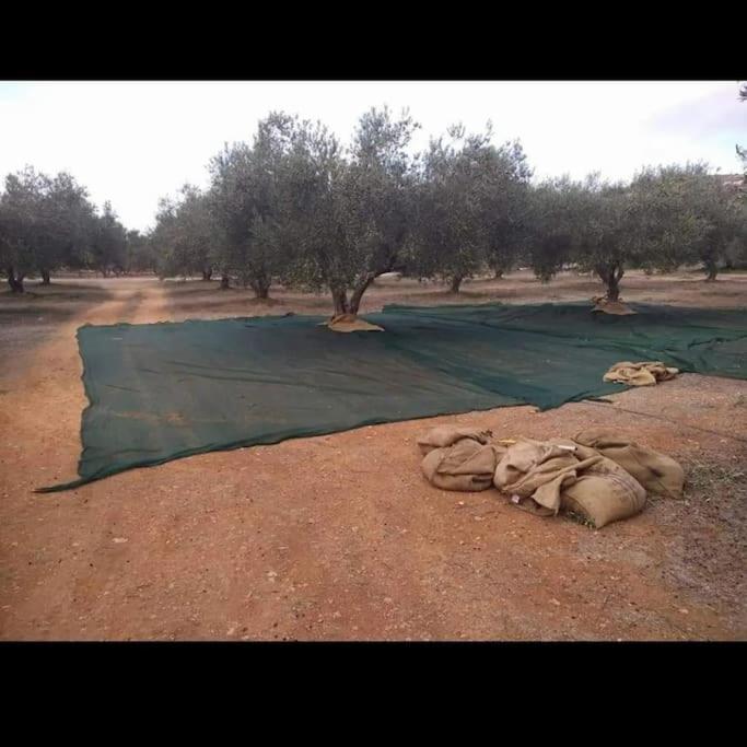 Knossós Olive Grove Cottage Skalani מראה חיצוני תמונה