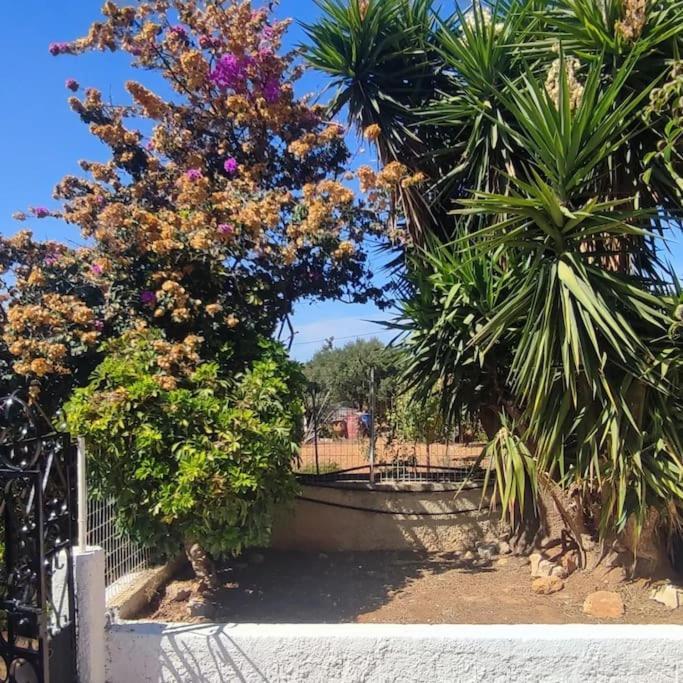 Knossós Olive Grove Cottage Skalani מראה חיצוני תמונה