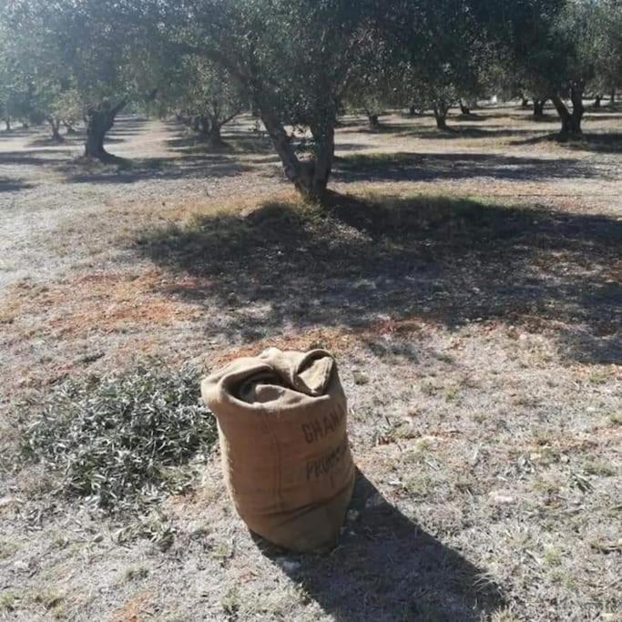 Knossós Olive Grove Cottage Skalani מראה חיצוני תמונה