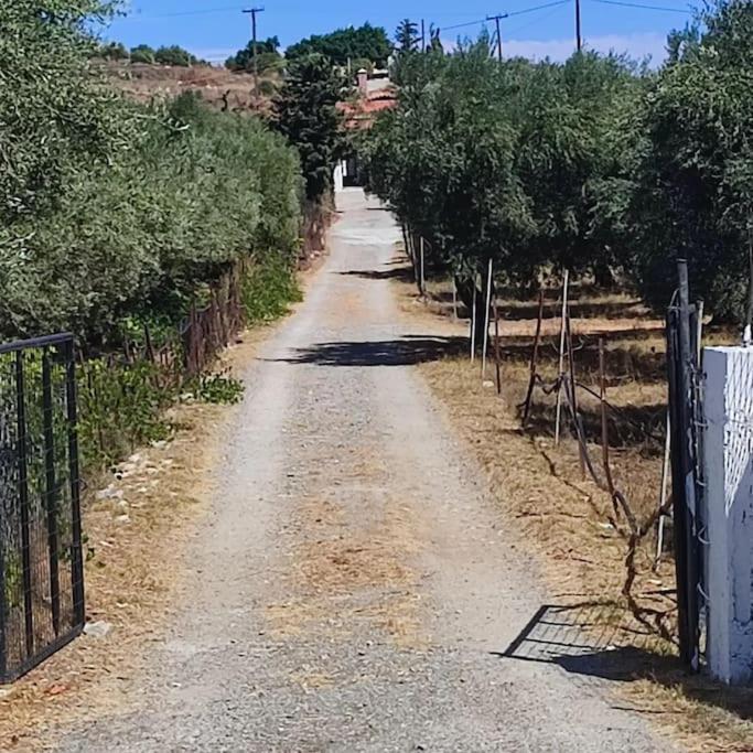 Knossós Olive Grove Cottage Skalani מראה חיצוני תמונה