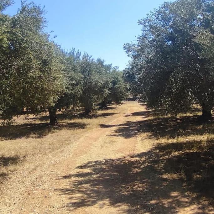 Knossós Olive Grove Cottage Skalani מראה חיצוני תמונה