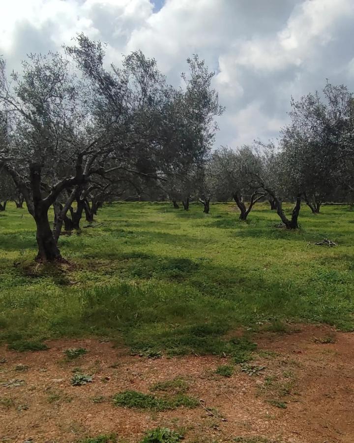 Knossós Olive Grove Cottage Skalani מראה חיצוני תמונה