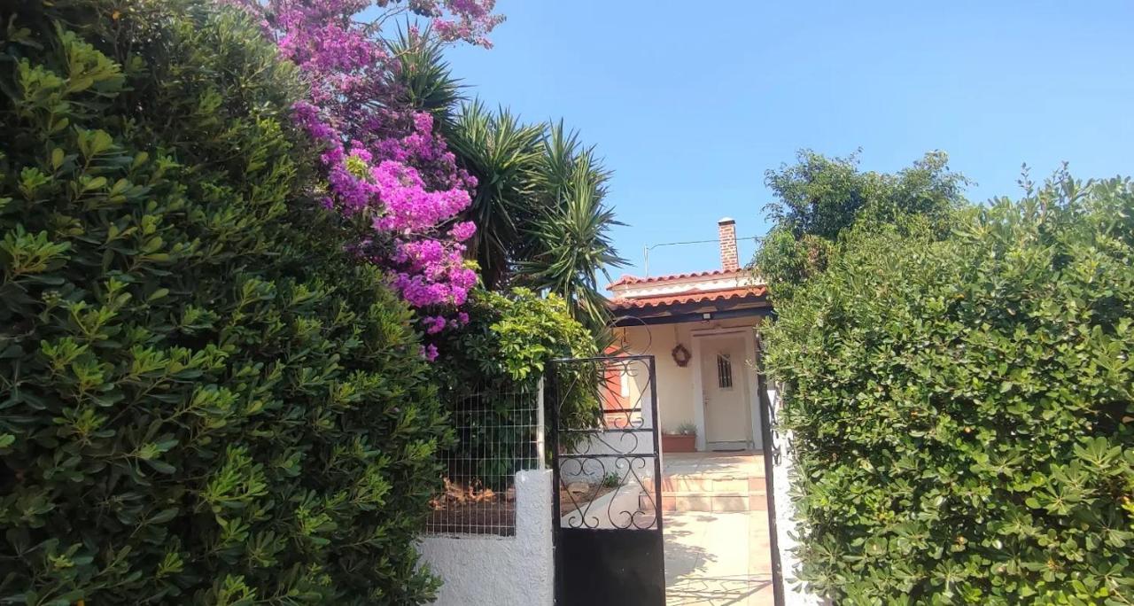 Knossós Olive Grove Cottage Skalani מראה חיצוני תמונה