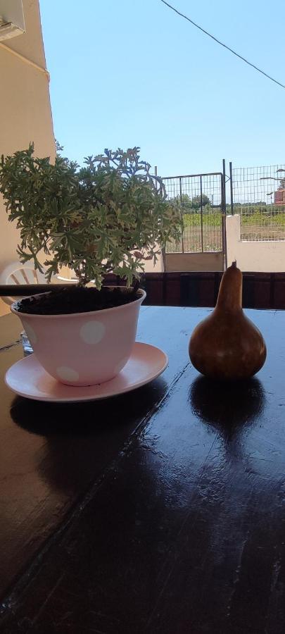 Knossós Olive Grove Cottage Skalani מראה חיצוני תמונה
